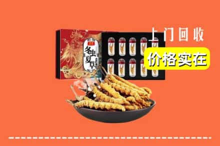 大兴安岭塔河县回收冬虫夏草