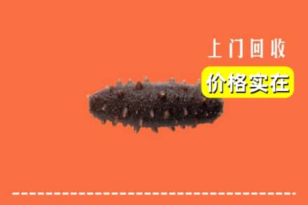 大兴安岭塔河县回收海参